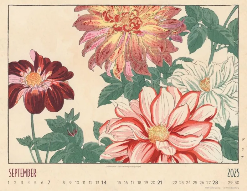 Weingarten Flower Art Kalender 2025