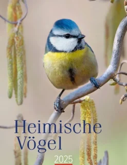 Weingarten Heimische Vogel Kalender 2025