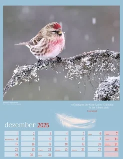 Weingarten Heimische Vogel Kalender 2025
