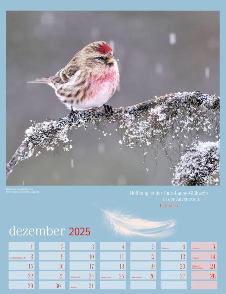 Weingarten Heimische Vogel Kalender 2025
