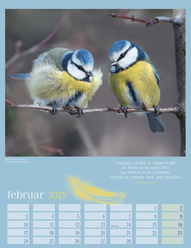 Weingarten Heimische Vogel Kalender 2025