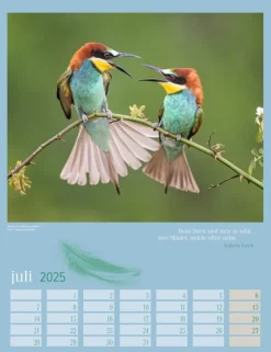 Weingarten Heimische Vogel Kalender 2025