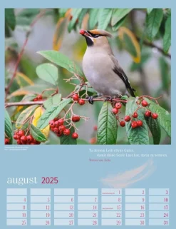 Weingarten Heimische Vogel Kalender 2025