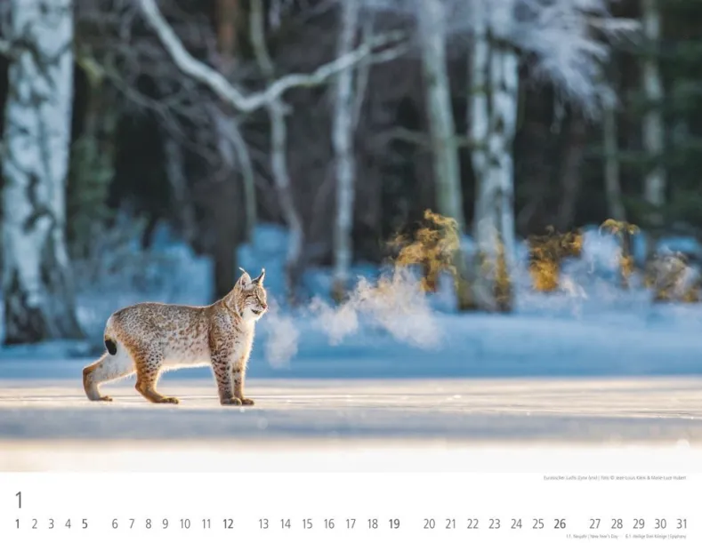 Weingarten Heimische Wildtiere Kalender 2025