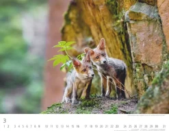 Weingarten Heimische Wildtiere Kalender 2025