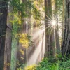 Weingarten Im Wald Kalender 2025