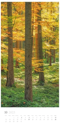 Weingarten Im Wald Kalender 2025