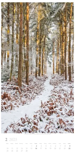 Weingarten Im Wald Kalender 2025