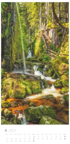 Weingarten Im Wald Kalender 2025
