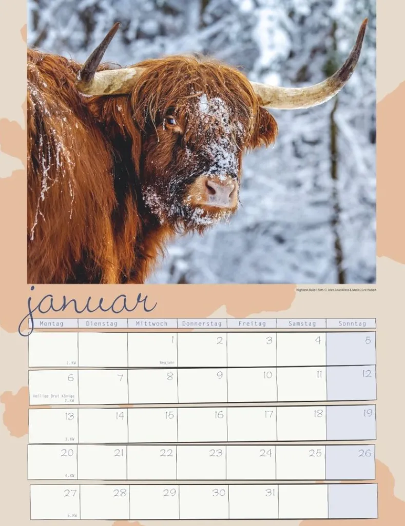 Weingarten Kuh Kalender 2025
