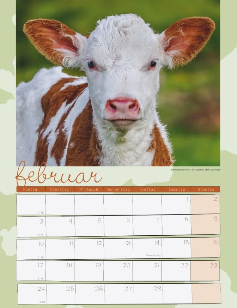 Weingarten Kuh Kalender 2025
