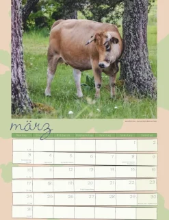 Weingarten Kuh Kalender 2025