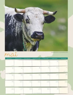 Weingarten Kuh Kalender 2025