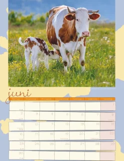 Weingarten Kuh Kalender 2025