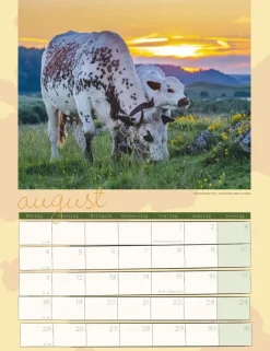 Weingarten Kuh Kalender 2025