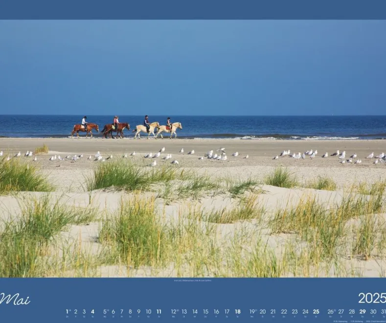 Weingarten Nordsee Kalender 2025