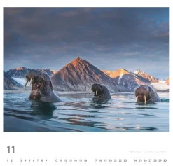 Weingarten Norwegen Kalender 2025