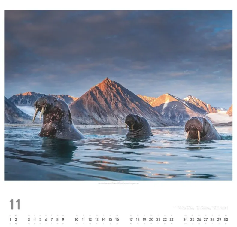 Weingarten Norwegen Kalender 2025