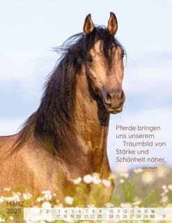 Weingarten Pferdepoesie Kalender 2025