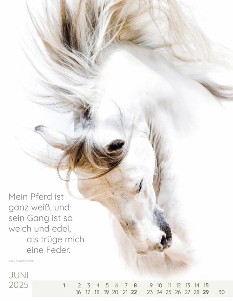 Weingarten Pferdepoesie Kalender 2025