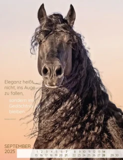 Weingarten Pferdepoesie Kalender 2025