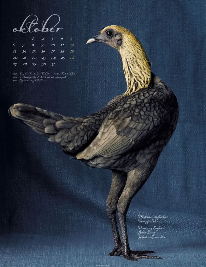 Weingarten Pretty Chicks Kalender 2025