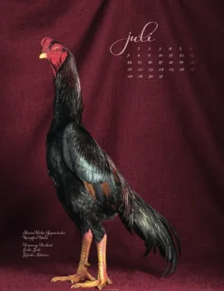 Weingarten Pretty Chicks Kalender 2025