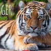 Weingarten Tiger Kalender 2025