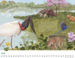 Weingarten Wo Tiere Und Pflanzen Zu Hause Sind Kalender 2025