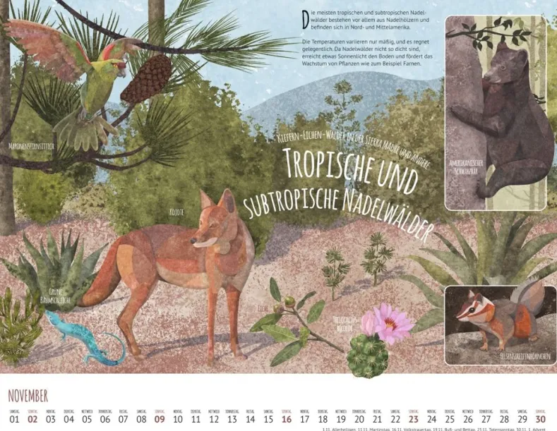 Weingarten Wo Tiere Und Pflanzen Zu Hause Sind Kalender 2025