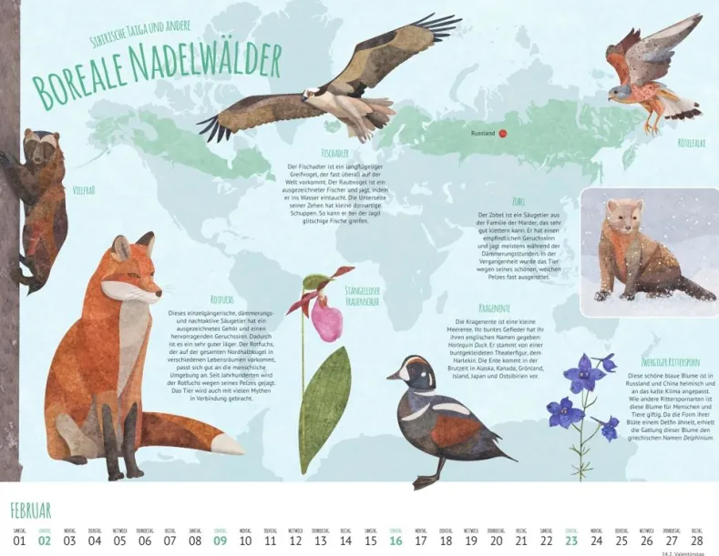 Weingarten Wo Tiere Und Pflanzen Zu Hause Sind Kalender 2025