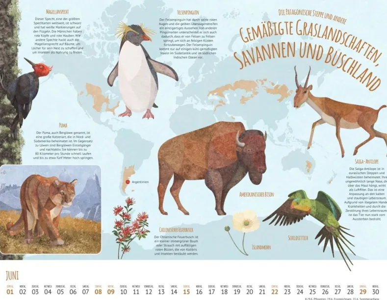 Weingarten Wo Tiere Und Pflanzen Zu Hause Sind Kalender 2025